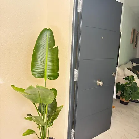 Modern And Exclusive 50m From Sea Center Apartamento *